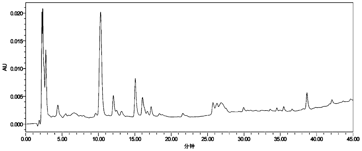 Processed gymnadenia conopsea rhizome, processing method and use thereof, gymnadenia conopsea rhizome powder, use thereof and medicine