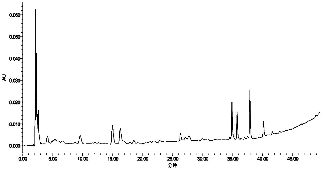 Processed gymnadenia conopsea rhizome, processing method and use thereof, gymnadenia conopsea rhizome powder, use thereof and medicine