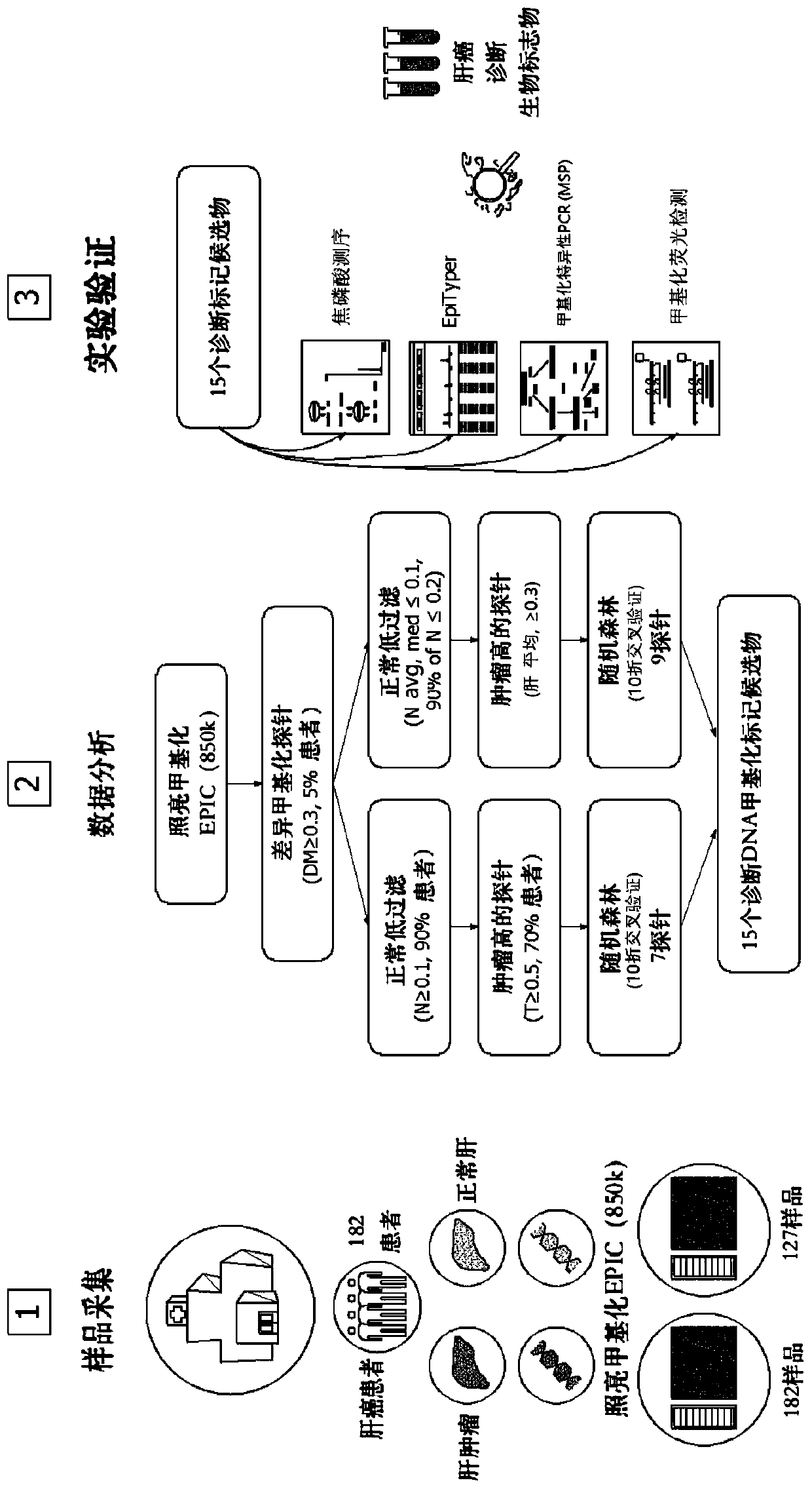 Method for assessing prognosis or risk stratification of liver cancer by using cpg methylation variation in gene