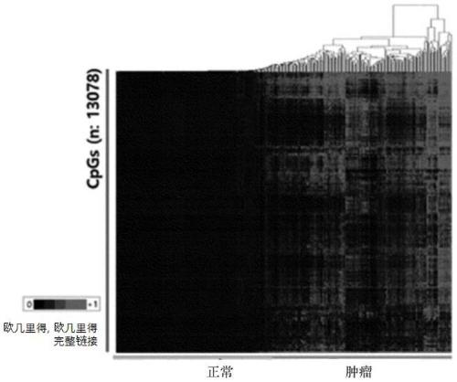 Method for assessing prognosis or risk stratification of liver cancer by using cpg methylation variation in gene