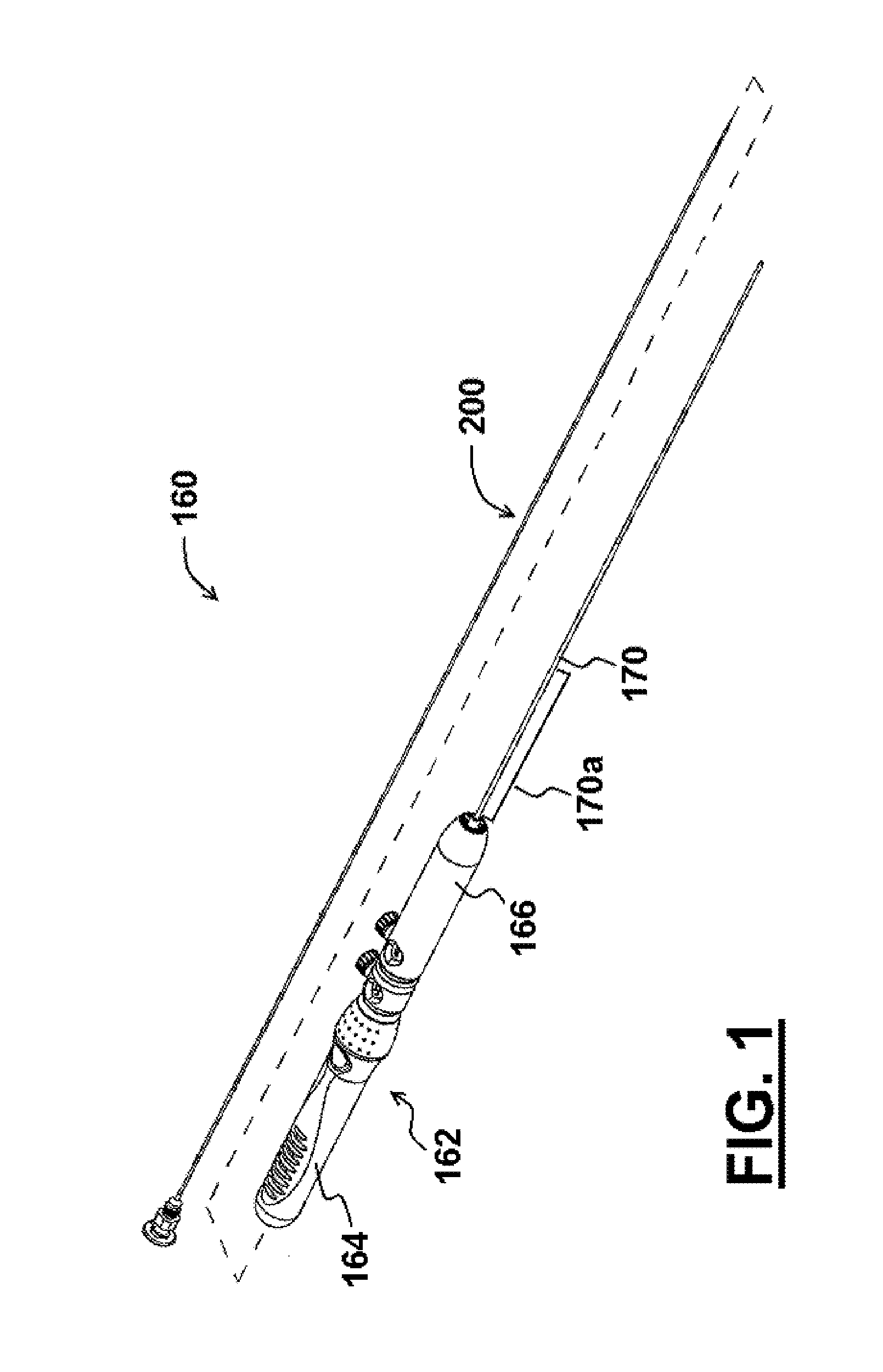 Endoscopic biopsy needle with coil sheath