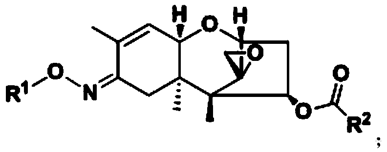 Trichodermin C8 oxime ether derivatives and application thereof