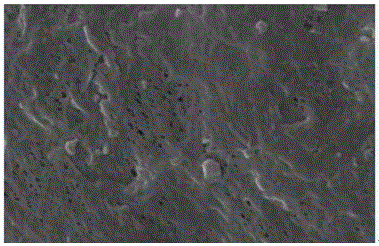 Wound dressing and preparation method thereof