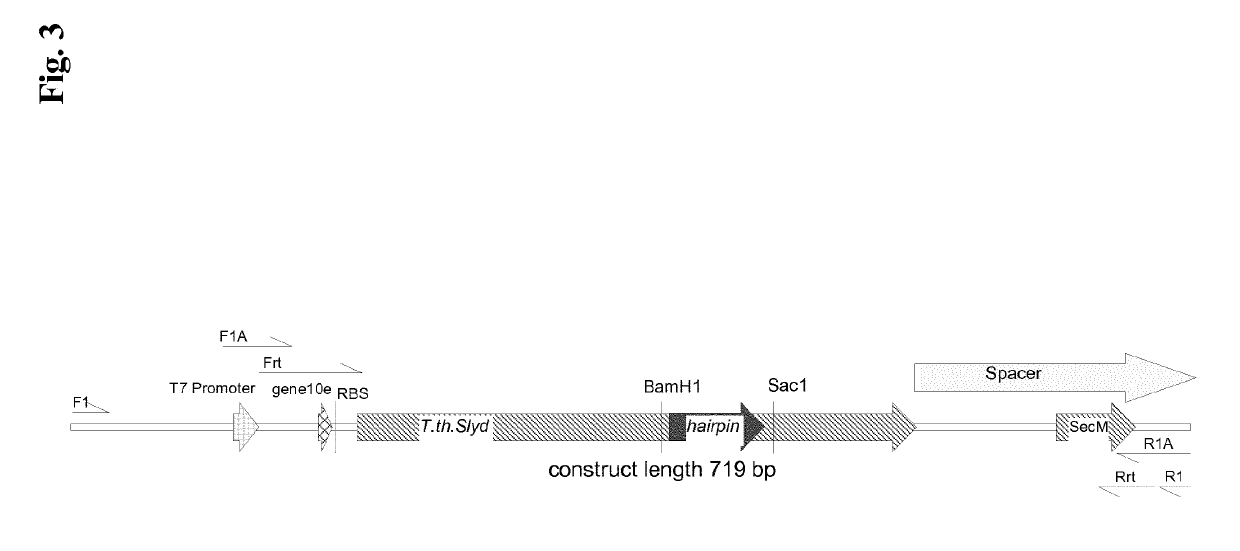 Nucleic acids encoding chimeric polypeptides for library screening