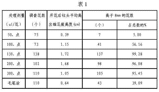 Method for producing cotton seeds by inducing long cotton stigmas