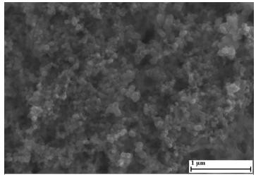 A lithium-ion battery negative electrode based on lithium tetrathiofulvalene dicarboxylate and preparation method thereof