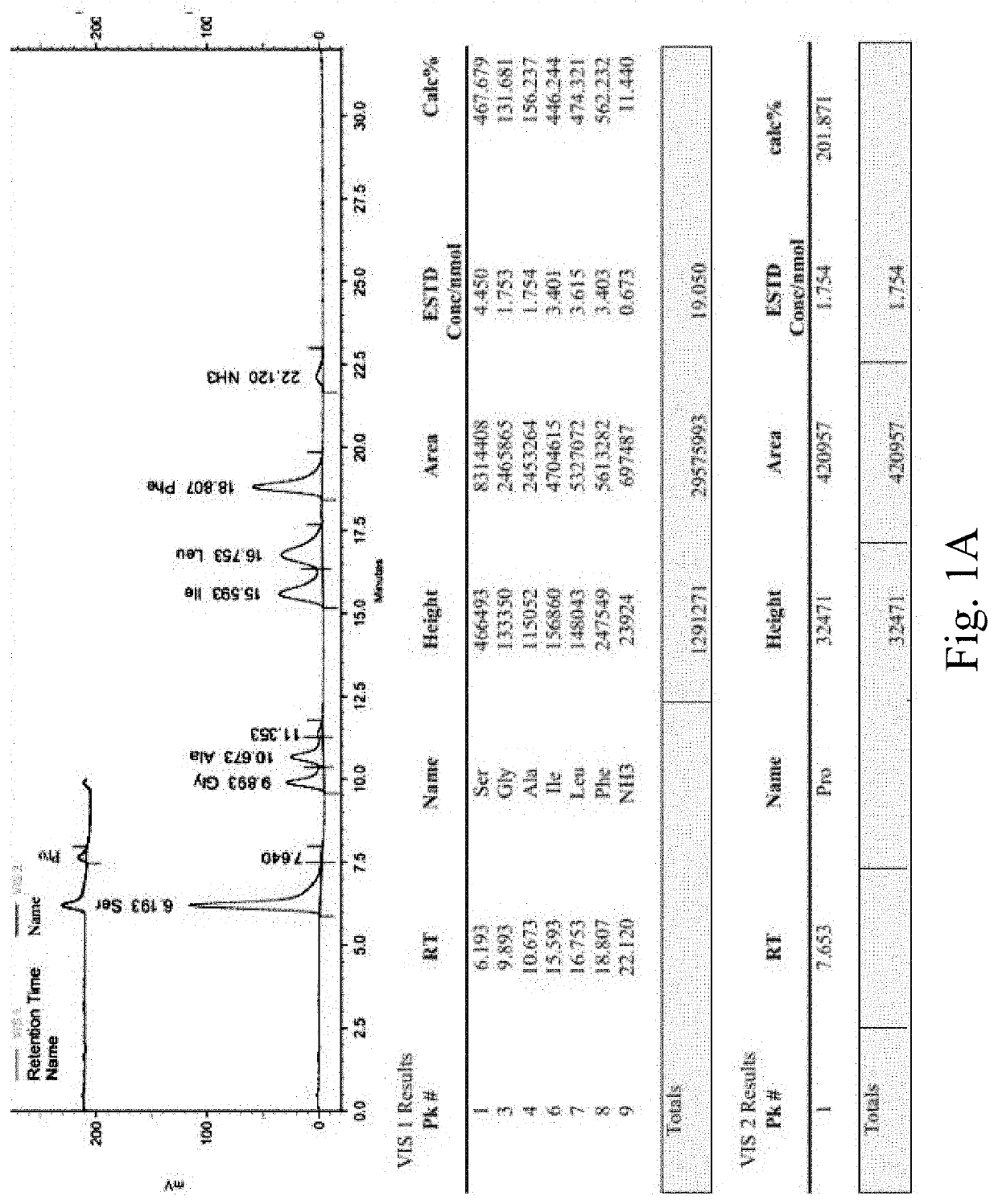 Synthetic peptide sp4 and use thereof