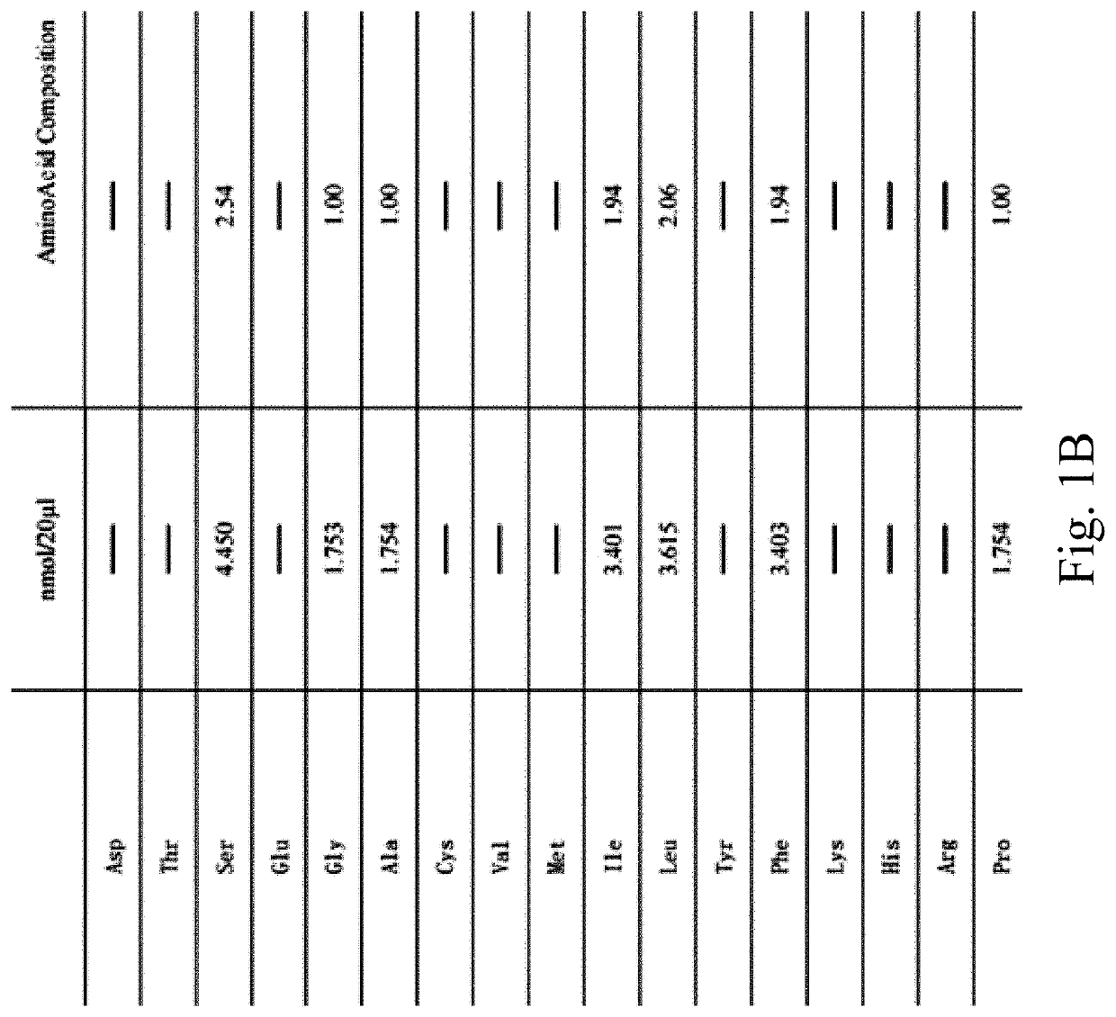 Synthetic peptide sp4 and use thereof