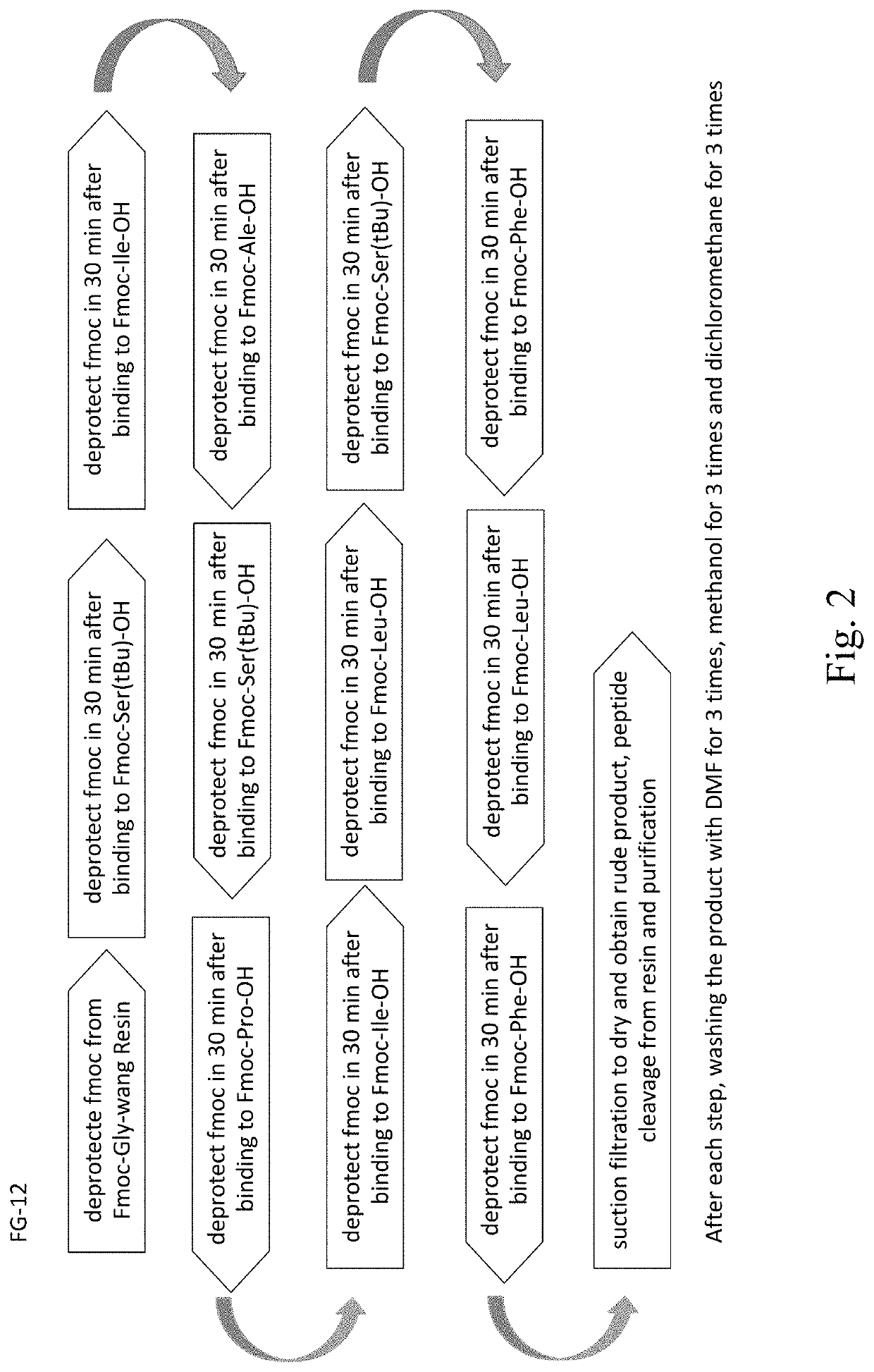 Synthetic peptide sp4 and use thereof