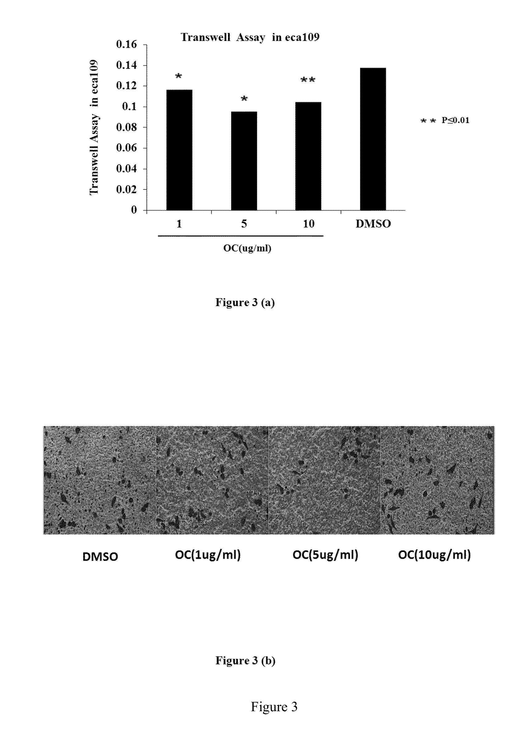 Usage of oblongifolin c, a natural compound from garcinia yunnanensis hu, on treating cancer as metastasis inhibitor and autophagic flux inhibitor