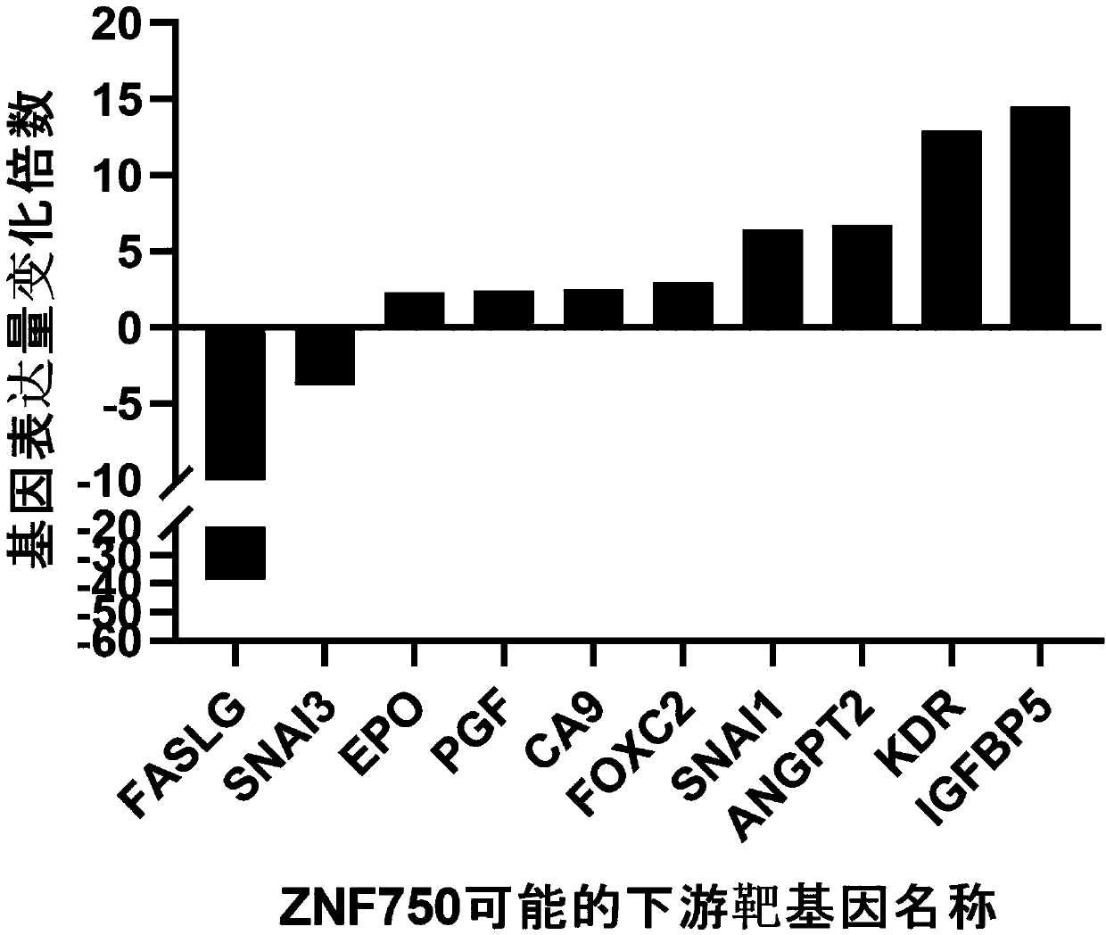 Application of ZNF750 in screening targeted medicine for treating esophageal squamous cell carcinoma