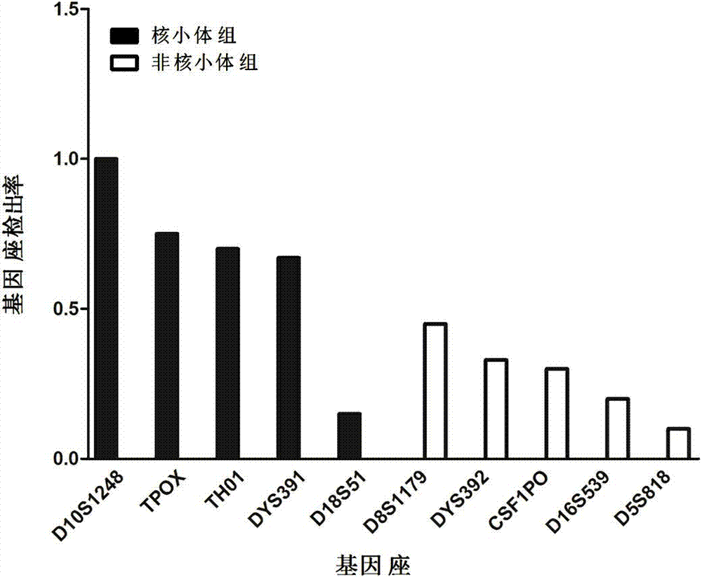 Decayed-sample degradation DNA (deoxyribonucleic acid) detection method and application thereof