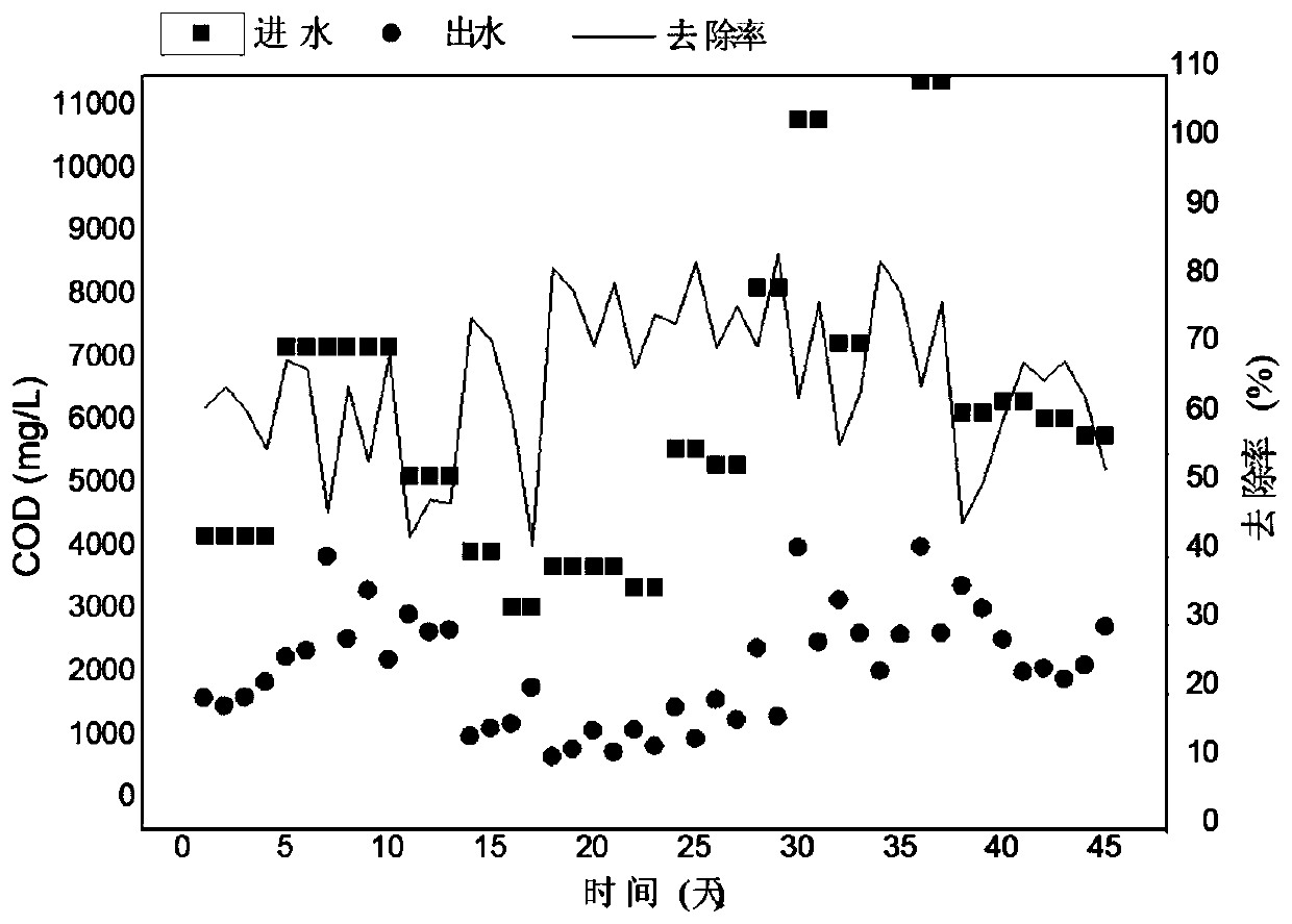 Anoxic reactor for effectively improving denitrification and denitrification effects