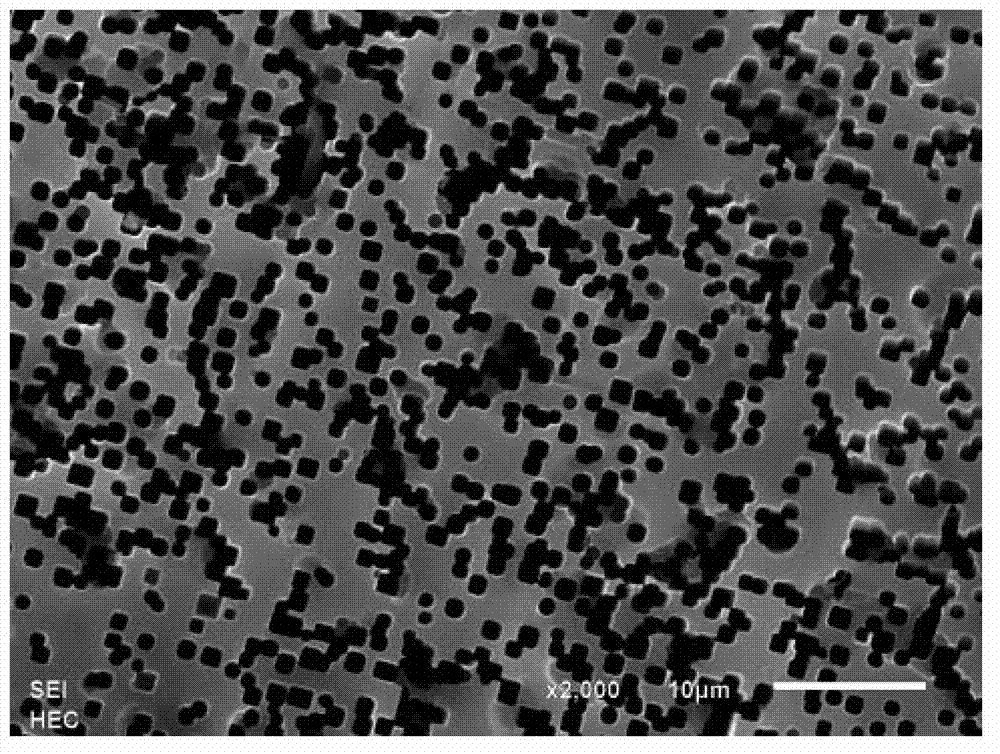 Method for detecting surface topography of aluminum electrode foil of electrolytic capacitor