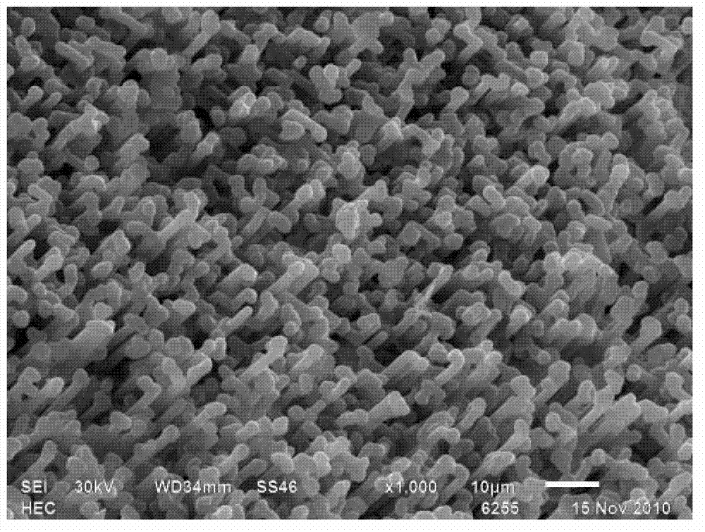 Method for detecting surface topography of aluminum electrode foil of electrolytic capacitor