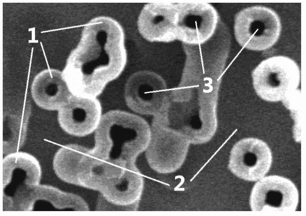 Method for detecting surface topography of aluminum electrode foil of electrolytic capacitor