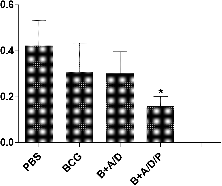 Application of polyinosinic-polycytidylic acid (poly I:C) combined dimo-thylidioctyl ammonium bromide (DDA) mixed adjuvant in preparation of tuberculosis subunit vaccines