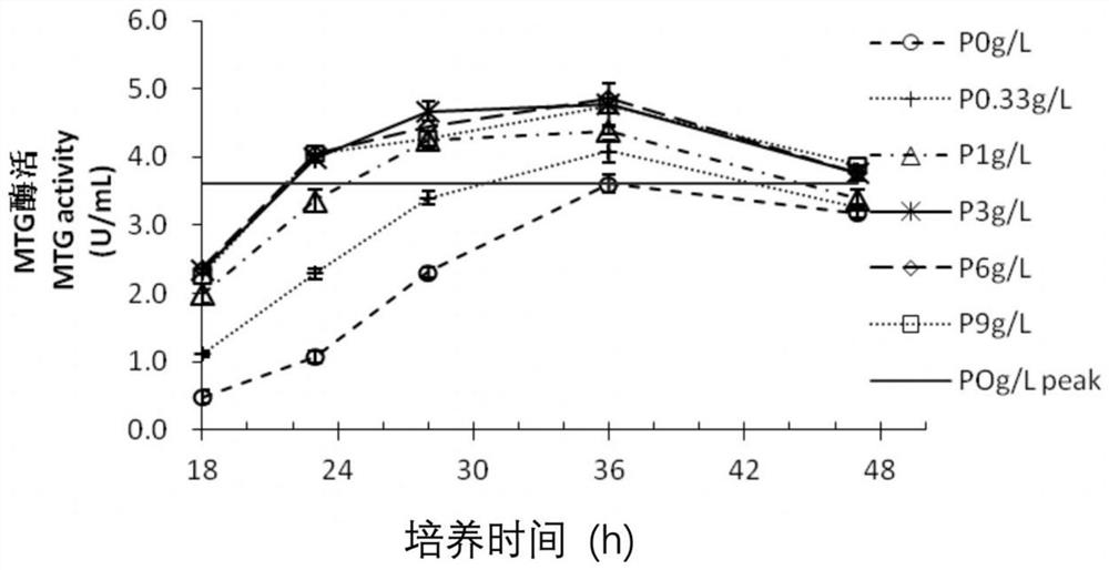 Method for increasing yield of transglutaminase produced by fermentation