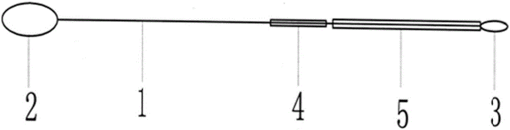 Endoscopic suture line