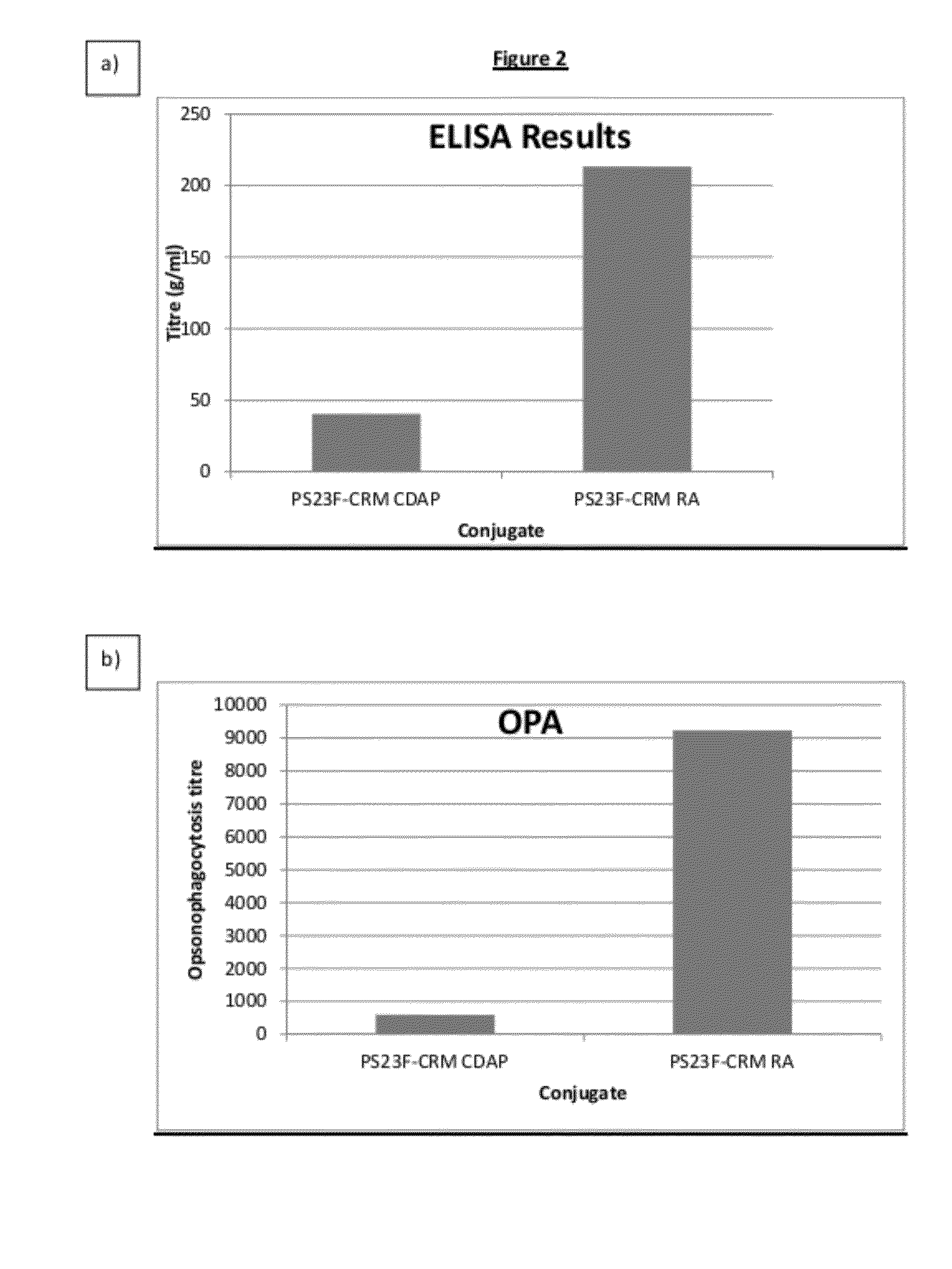 Conjugation process of bacterial polysaccharides to carrier proteins