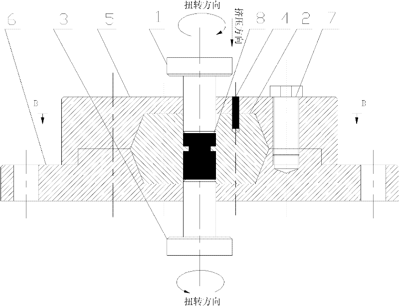 Torsion type reciprocating extrusion device and process method thereof