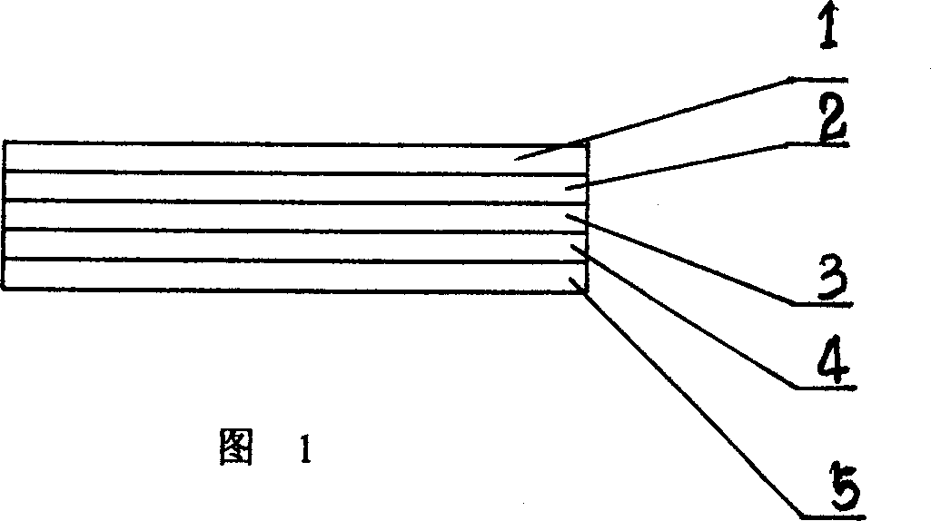 Color variable polarization sunglass