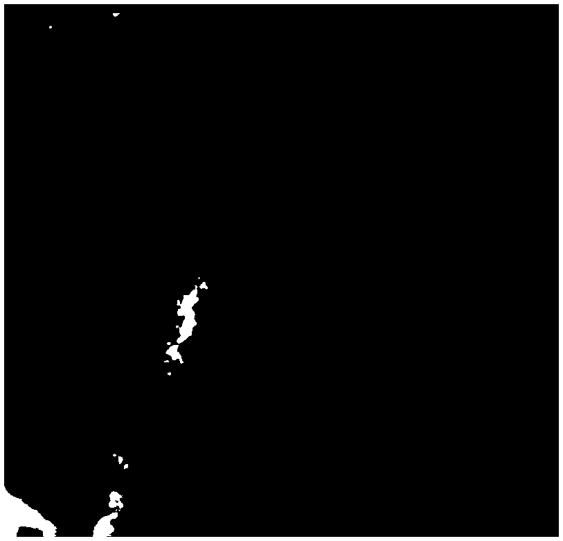 Preparation method of multivalent egg yolk antibody for waterfowl