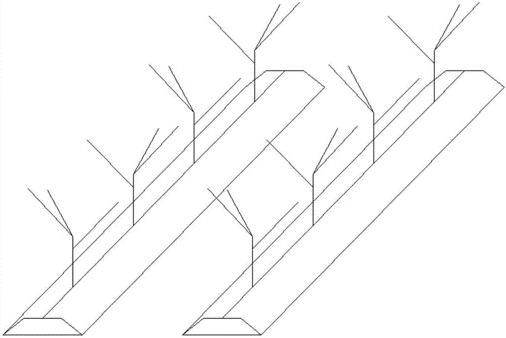 Novel three-main-branch high photosynthetic efficiency cultivation method for peach trees