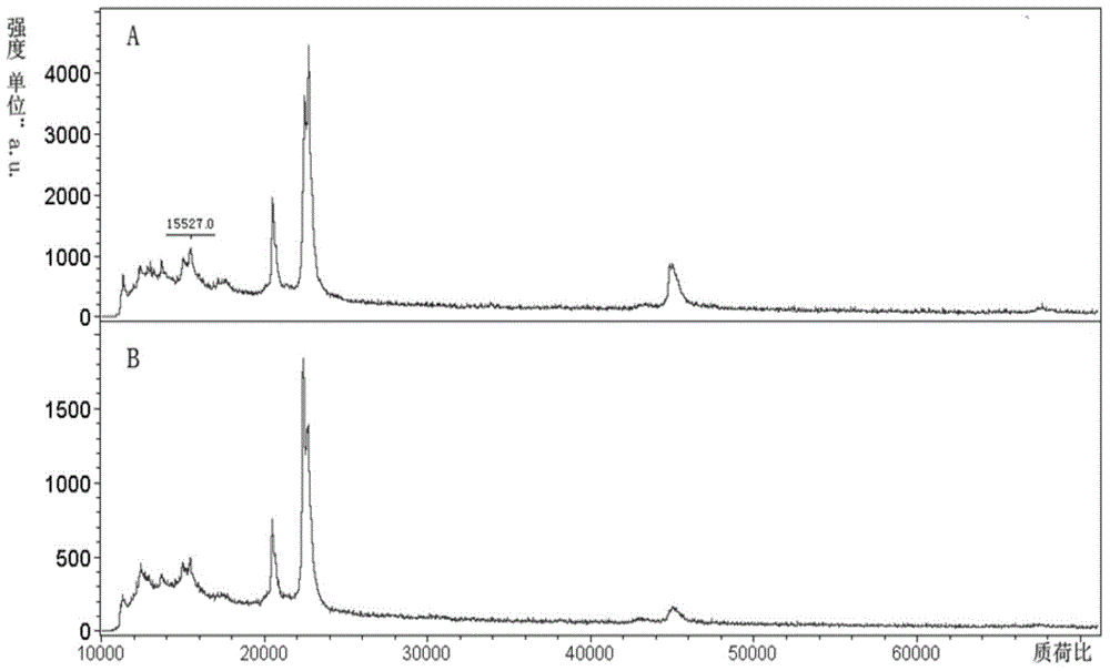 Composite material containing graphene oxide and recombinant streptococcal protein G, and preparation and application thereof