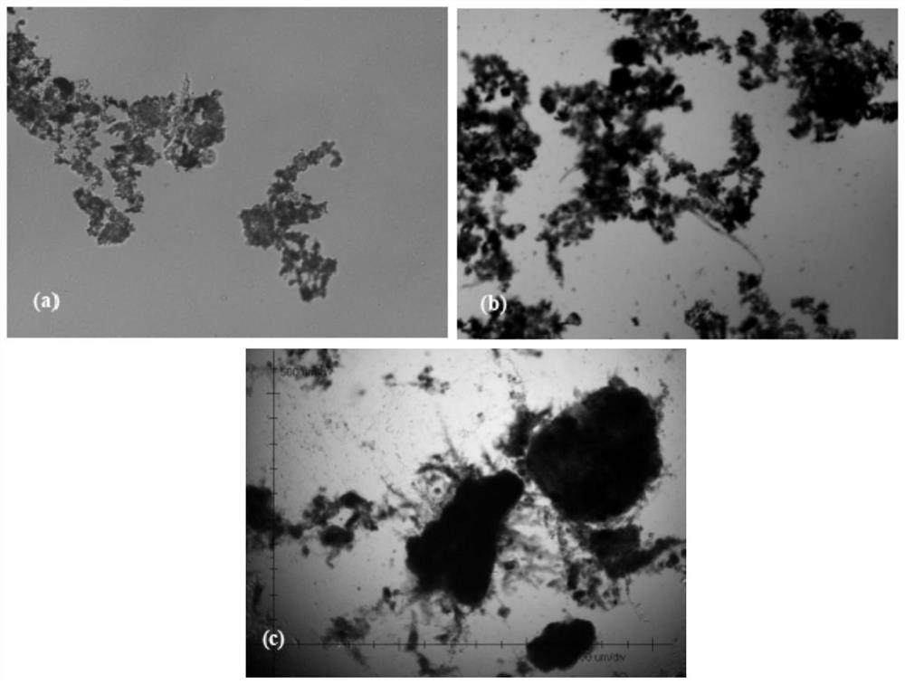 Culture device and rapid culture method of aerobic granular sludge capable of efficiently degrading nicotine