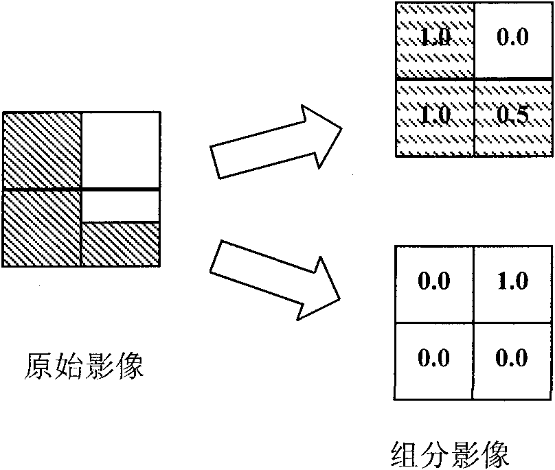 Hyperspectral remote sensing image target detecting method based on variable end members