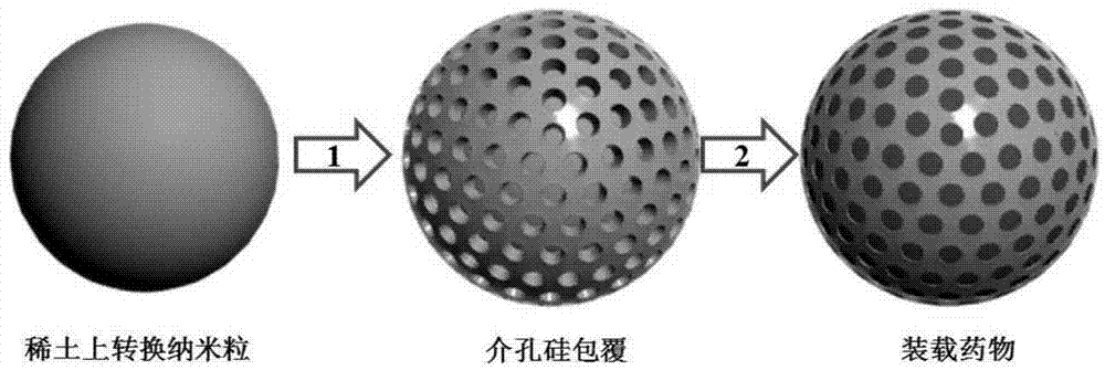 Preparation method and application of rare earth up-conversion drug-delivery nano-carrier