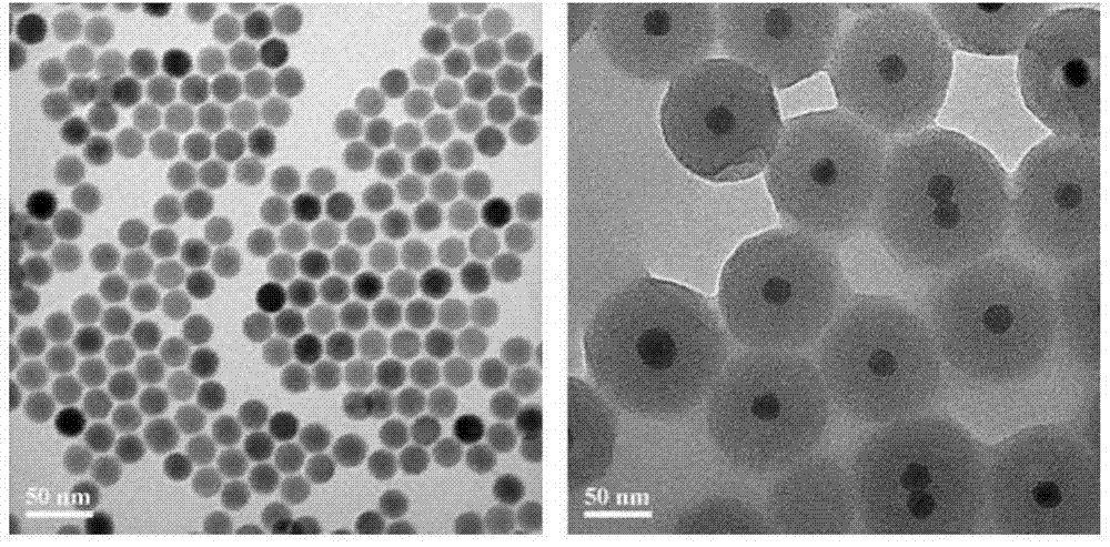 Preparation method and application of rare earth up-conversion drug-delivery nano-carrier