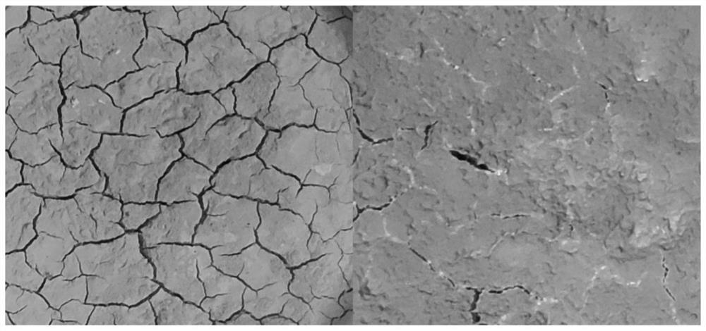 Preparation method of water-retention dust-suppression green-recovery environment-friendly material and application thereof