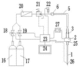 Low-temperature therapeutic apparatus for tumour