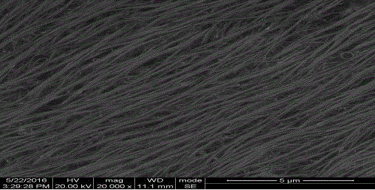 Method for preparing single-walled carbon nanotubes in oriented arrangement with solution standing method