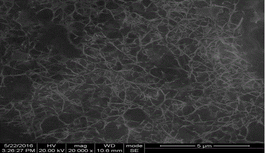 Method for preparing single-walled carbon nanotubes in oriented arrangement with solution standing method