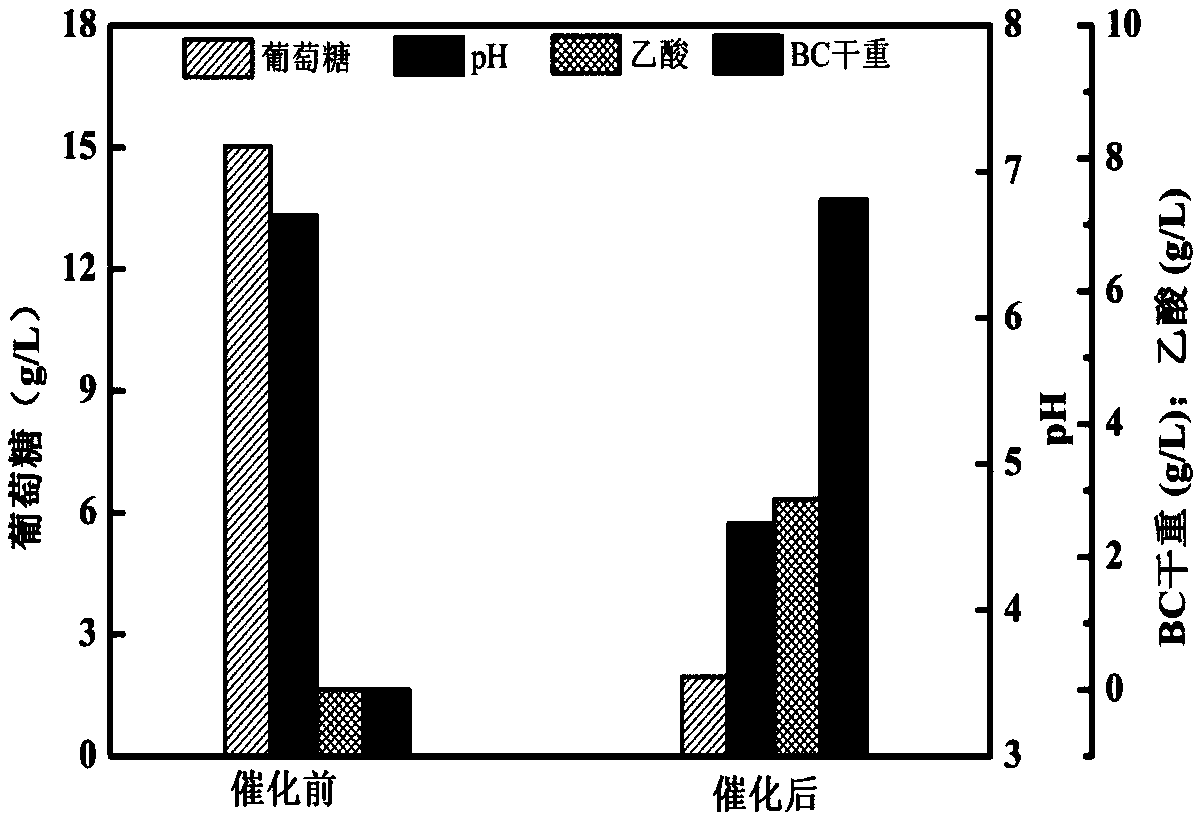 Method for catalytically producing bacterial cellulose by using resting cells of acetic acid bacteria