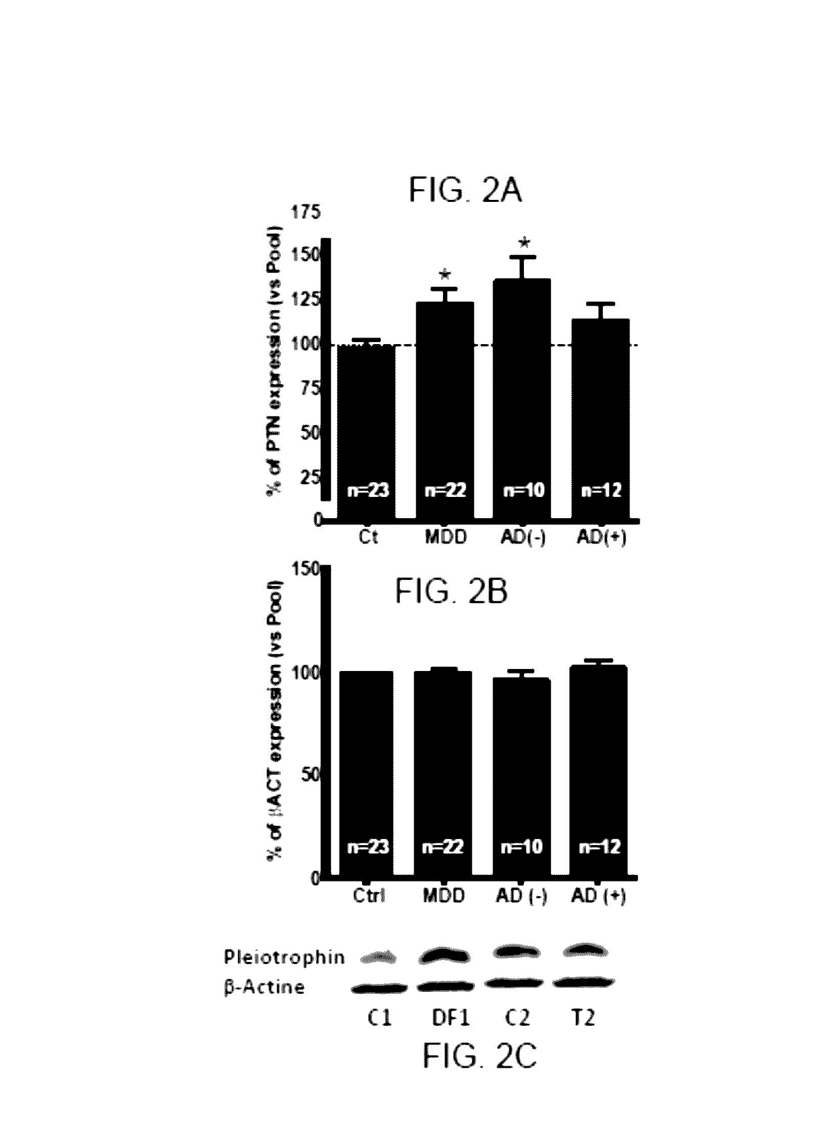 Transgenic animal model of mood disorders