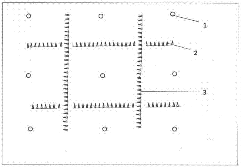 Method for planting damask roses under walnut trees