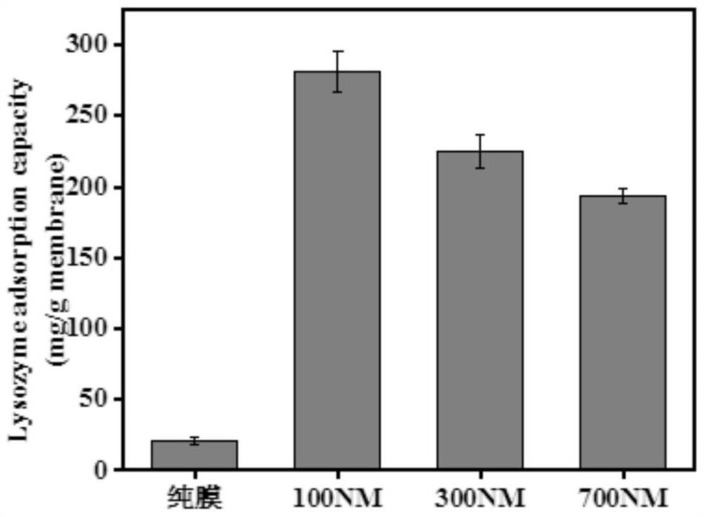 Composite chromatography filtering membrane material based on nanofibers and polymer microspheres and preparation method of composite chromatography filtering membrane material