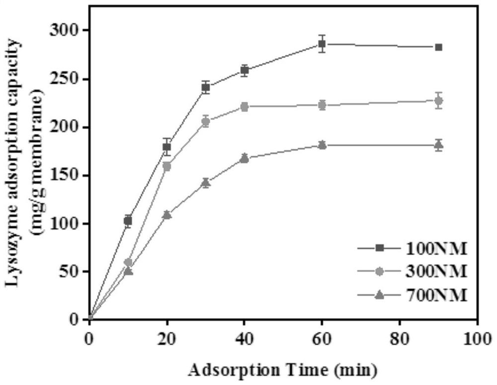 Composite chromatography filtering membrane material based on nanofibers and polymer microspheres and preparation method of composite chromatography filtering membrane material