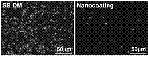 Construction method of enzyme-reponsive multifunctional nano-coating