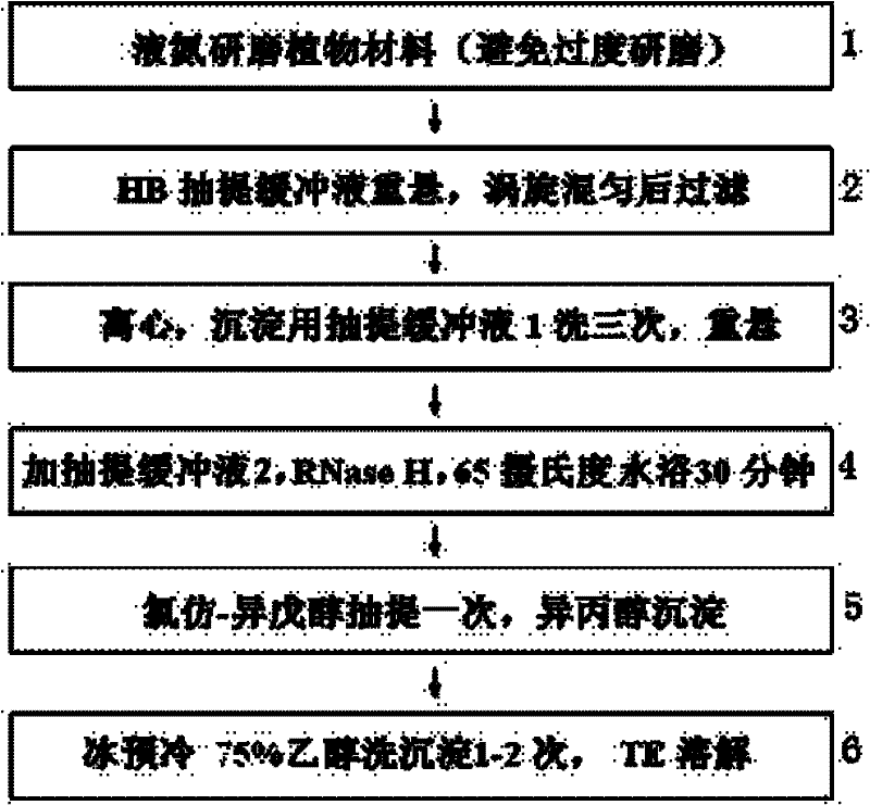 Method for extracting high-quality cell nucleus DNA (Deoxyribonucleic Acid) of plant rich in polysaccharide and polyphenol