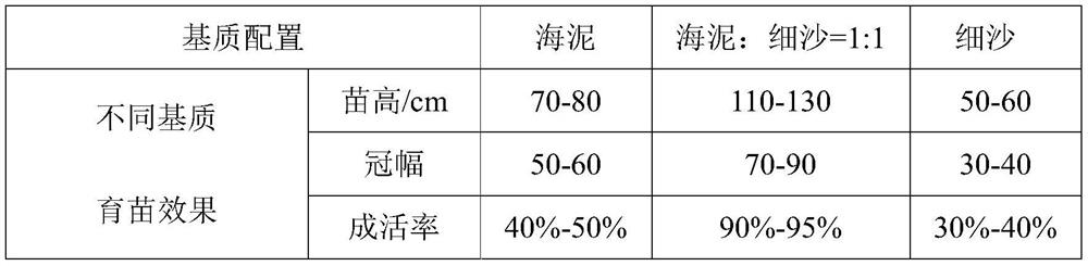 A kind of endangered mangrove plant lotus leaf seedling raising method