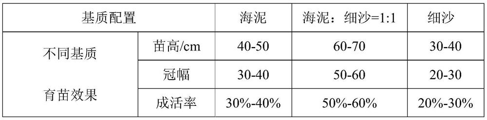 A kind of endangered mangrove plant lotus leaf seedling raising method