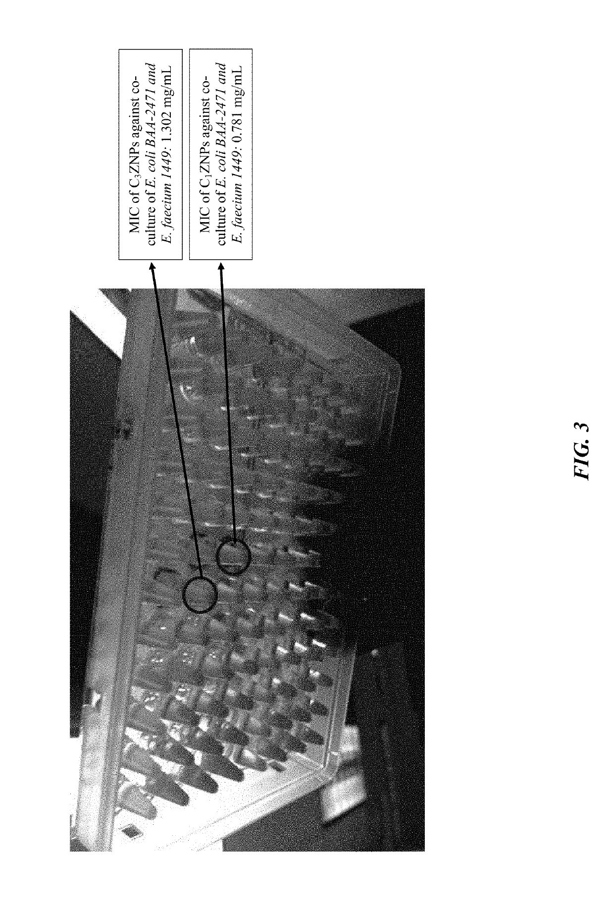 Compositions for treating drug resistant bacteria and biofilm