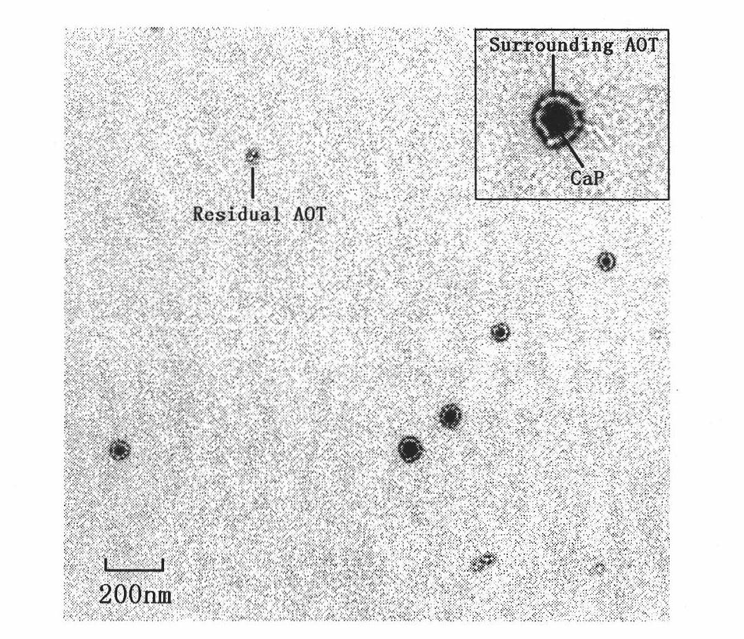 Preparation method and application in preparation of photodynamic therapy medicines of fat-soluble photosensitizer loaded on inorganic salt carrier