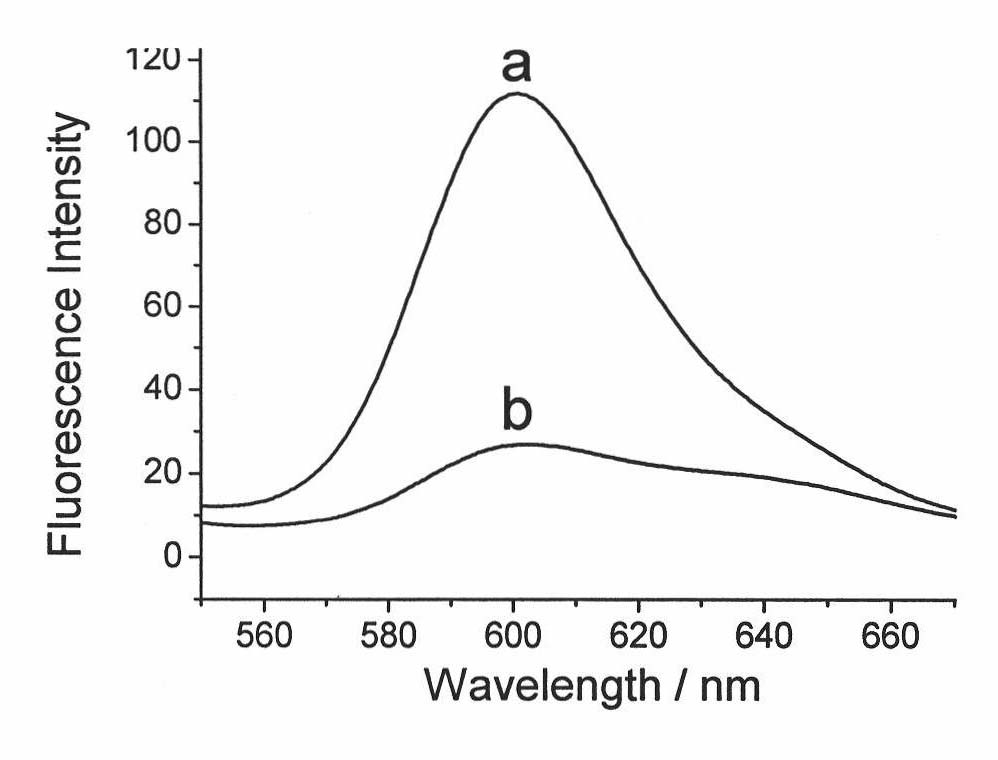 Preparation method and application in preparation of photodynamic therapy medicines of fat-soluble photosensitizer loaded on inorganic salt carrier