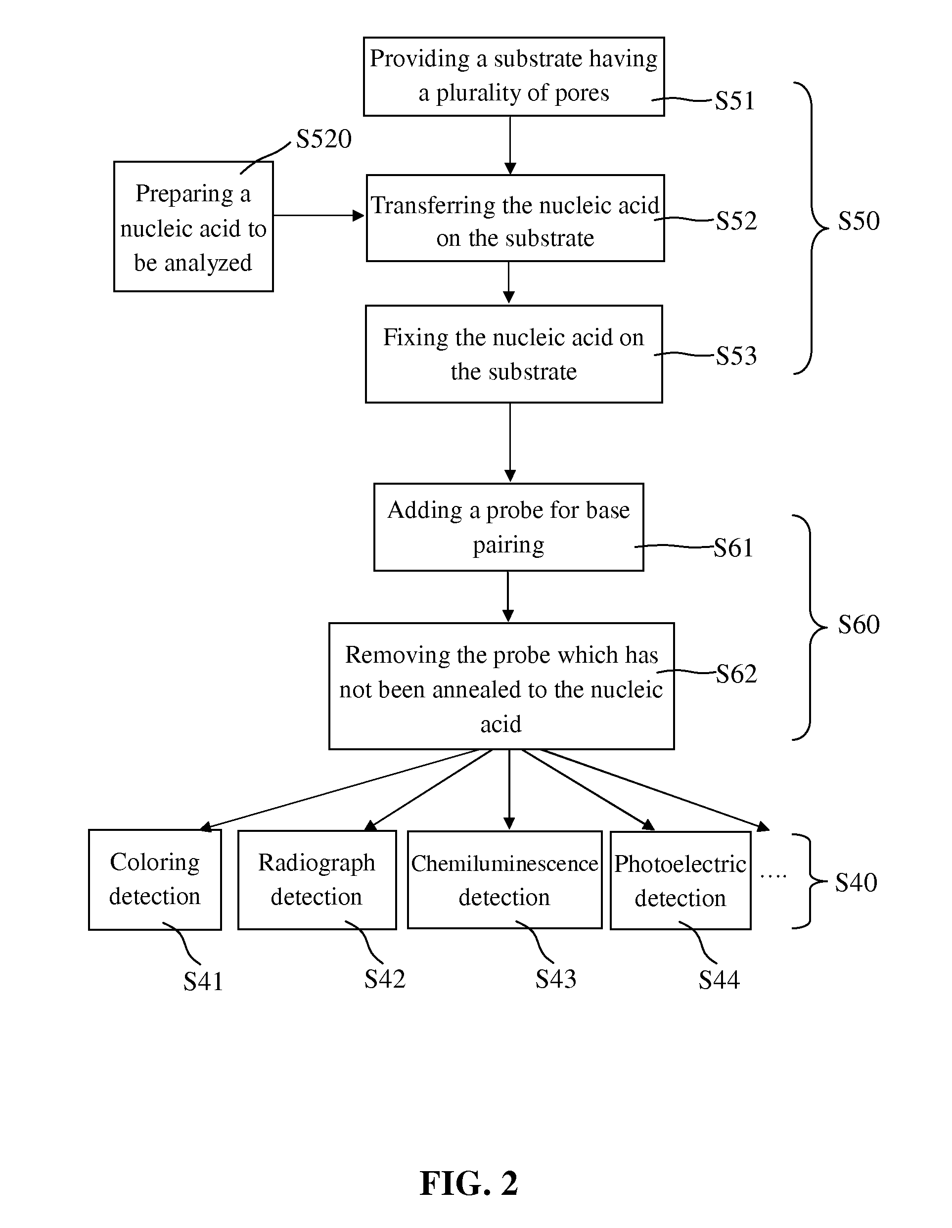 Blotting Method for Rapidly Analyzing Nucleic Acid